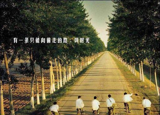 冷瑶白深川免费小说 冷瑶白深川完结版在线阅读