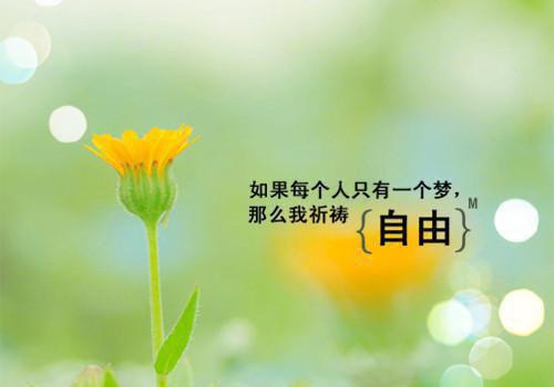 主角是赵月月顾风的小说免费阅读全文大结局