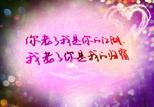 顾盼郑子皓是啥小说 顾盼郑子皓免费阅读无广告