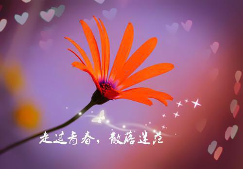 抖音热推新书不死毒奶：毒无限叠加，惊呆校花李寻乐-抖音热推不死毒奶：毒无限叠加，惊呆校花李寻乐无弹窗阅读