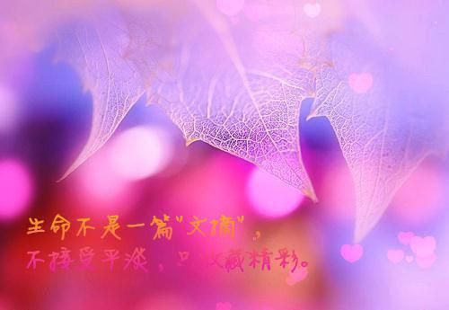 姜芷乔时羽远明陆柔完整版 姜芷乔时羽远明陆柔小说全文在线阅读