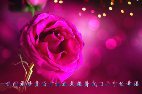 男女主角是凌砚如简溪的小说 别久不成悲林砚如简溪沈清莲完结全文目录