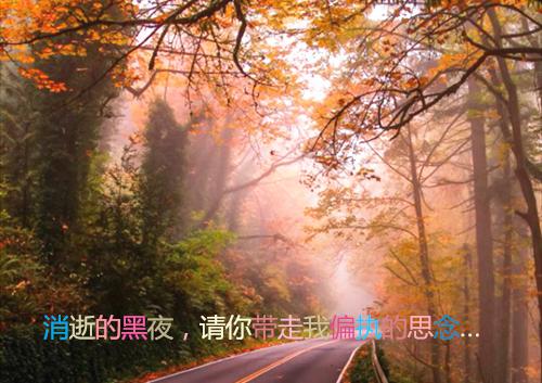 姜如意姜小小小说章节免费阅读 姜如意姜小小无弹窗
