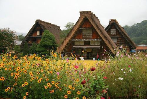 天佑程江婉宁最新章节免费 天佑程江婉宁第3章在线阅读