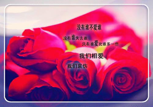 老公的白月光要去哀牢山，我却死在那山上小说 沈博彦沈徽苏暖暖在线阅读