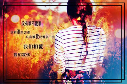 许清荷许清婉全文阅读 许清荷许清婉小说最新章节