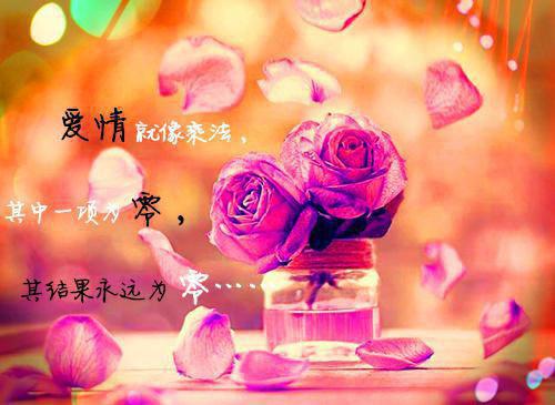离开仙侠世界后，他后悔了江鲤祁澜免费章节在线阅读