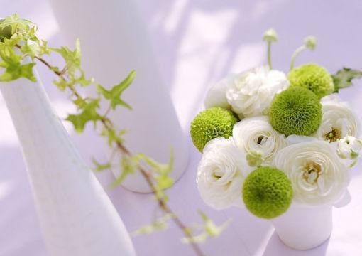 倾心师尊后他把我送去妖族斩情根小说 齐栖梅落落嬴樾祝重明在线阅读第2章