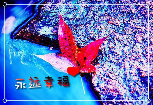 风倾听过我的爱最后一章在线阅读 傅妙傅深全文小说完整版
