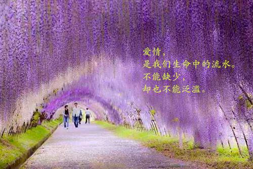 主角林妤齐霁小说 林妤齐霁小说全文免费阅读