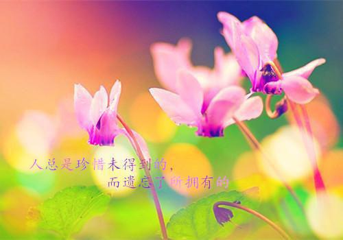 听到老伴和孙子的心声后，我离婚了免费阅读 天佑程江婉宁小说无弹窗