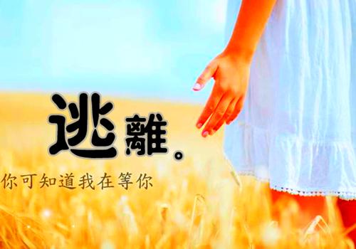 因果昭昭全文免费阅读 安月目录