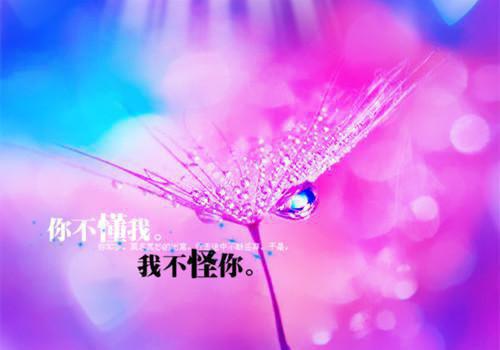 腹黑邪王：重生毒妃虐渣忙小说完整版 慕婉玉慕流苏在线阅读