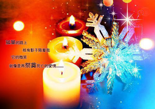 不上冷的你残妃情：王做惹最新小说（匿名）全文阅读