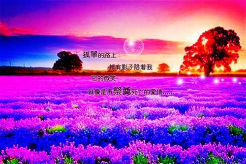 就判一个无妻徒刑吧姜九思林念念顾飞林景深完整版小说全文章节app内免费阅读