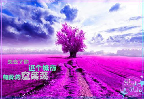 顾云柔顾星朗免费阅读 顾云柔顾星朗最新章节目录