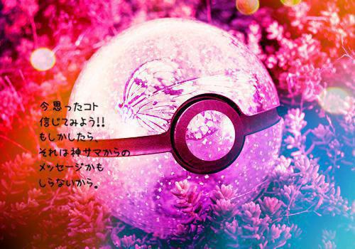 谢瑶瑶季子寻免费阅读目录 谢瑶瑶季子寻小说全文