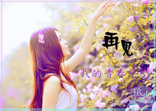 程询沈念小说免费 程询沈念在线阅读