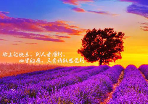 陆瑶小说全免读 陆瑶在线阅读