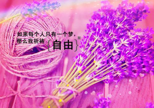 李启智林健达小说章节目录 李启智林健达免费阅读第1章