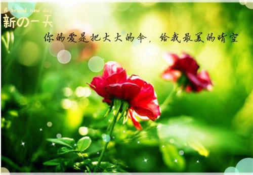 郁菡霍北沉小说叫什么 郁菡霍北沉小说全文免费阅读