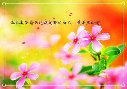 阮瓷沈屿宸：结局+番外（阮瓷沈屿宸结局+番外）全本小说免费章节阅读_阮瓷沈屿宸：结局+番外最新章节列表（阮瓷沈屿宸结局+番外）