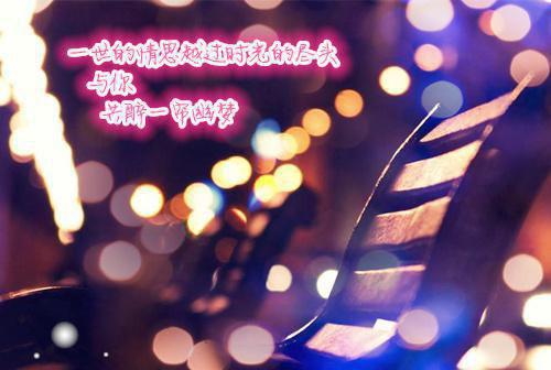 不拘小节的婆婆小说最新章节 琴琴全文在线阅读