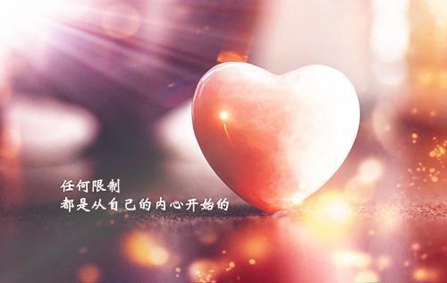 林简盛庭森小说叫什么 林简盛庭森小说全文免费阅读