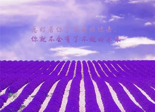 江雨茉霍寒煜（江雨茉霍寒煜）全文无弹窗大结局_江雨茉霍寒煜在线阅读无弹窗最新章节列表