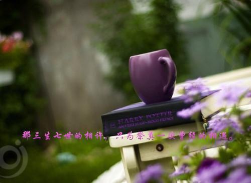 程芸夏延潇小说全文阅读 程芸夏延潇第三章