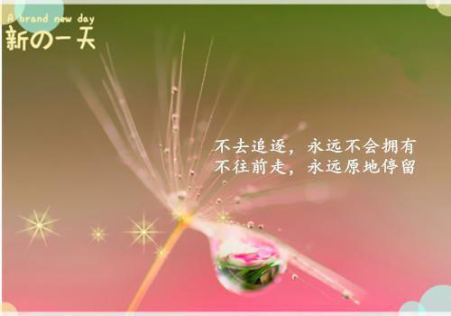 秦梦周凯小说最后结局 秦梦周凯完结版免费阅读