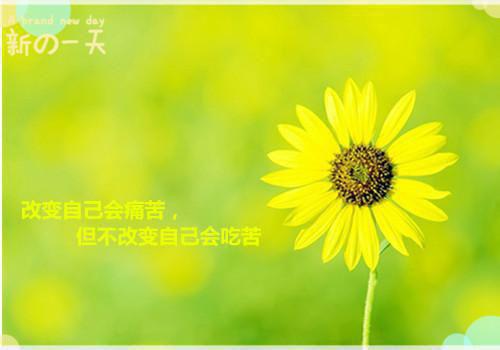 宋杳穆庭屿哪里可以看 宋杳穆庭屿免费阅读第一章
