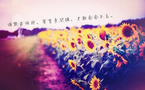 郑晚晴顾野《妈妈一言不合就开哭》小说在线阅读