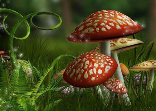 汪铭辉周萌萌免费小说 汪铭辉周萌萌全文阅读目录