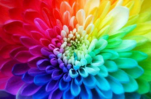 在游戏中捡的老婆竟是女魔头（宋烨）独家首发免费小说-（在游戏中捡的老婆竟是女魔头）宋烨小说全文在线阅读