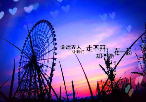 姜微赵明国小说 姜微赵明国免费全文阅读