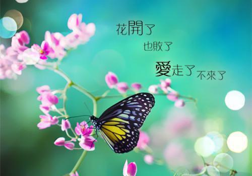 周雪柔陆时纪小说免费 周雪柔陆时纪第1章在线阅读