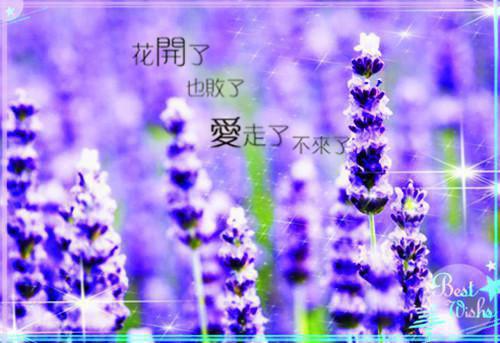 何律言孟穗宁全文免费阅读最新 何律言孟穗宁第五章