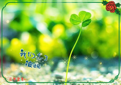 林琳主角的书 被读心后，假千金带全家炮灰改命全文阅读免费