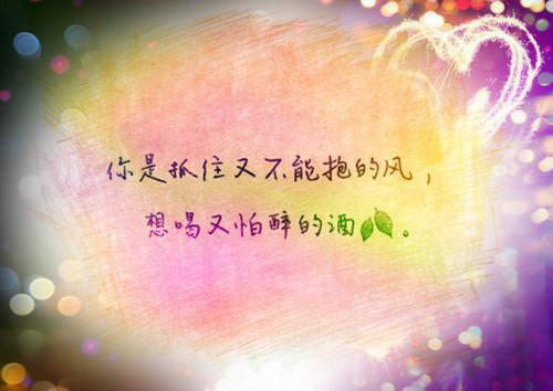 秦雨摇贺枫是啥小说 秦雨摇贺枫免费阅读无广告