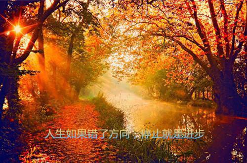 李云峥夏甜沈燃小说全文免费阅读 李云峥夏甜沈燃最新章节