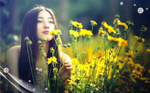李龙强王玉婷小说 李龙强王玉婷免费章节阅读