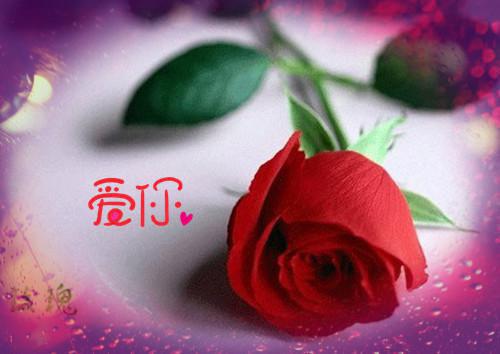 黄浩然黄余最新篇章 我被妈妈封进水井后，她才爱我全本免费阅读