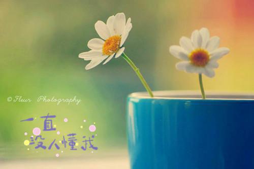 《结婚四十年，我因为饺子醋提了离婚》最新章节无弹窗by佚名全本资源在线阅读