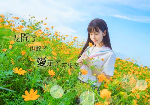沈冰诺儿什么小说 沈冰诺儿全文免费阅读