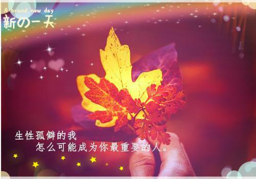 独家小说《落日散尽余晖》林意秋贡巴平措全文免费阅读无弹窗_林意秋贡巴平措最新小说无广告（落日散尽余晖）