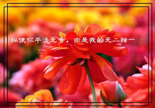 梁玄瑾莫绾凝什么小说 梁玄瑾莫绾凝全文免费阅读