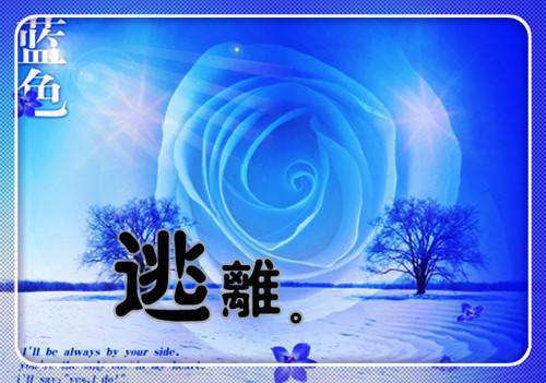 陆西陵夏曦是哪部小说的主角 陆西陵夏曦全文阅读