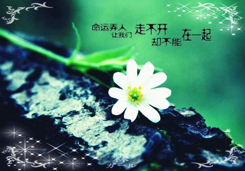 《何律言孟穗宁小说》无弹窗全文免费阅读