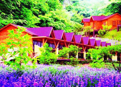 王牌窝囊霍岩言斓最新章节在线阅读